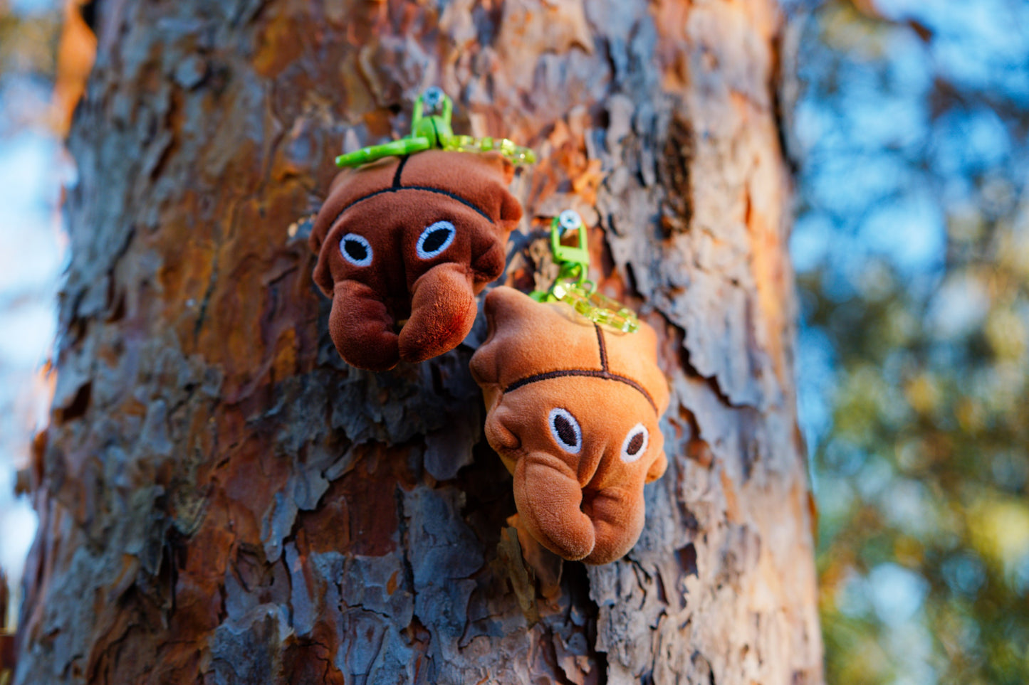 PRE ORDER BUG KEYCHAINS
